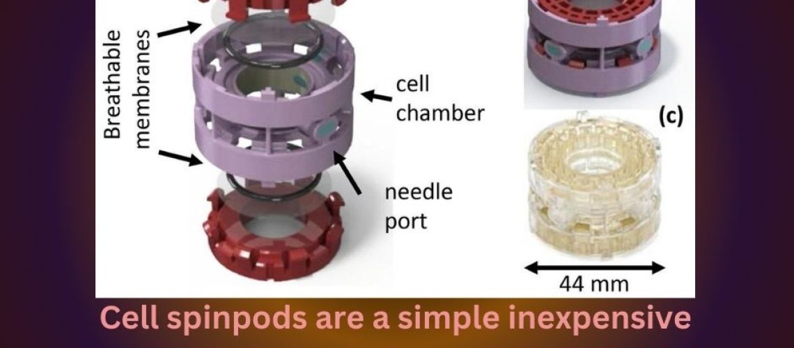Cell spinpods are a simple inexpensive suspension culture device to deliver fluid shear stress to renal proximal tubular cells
