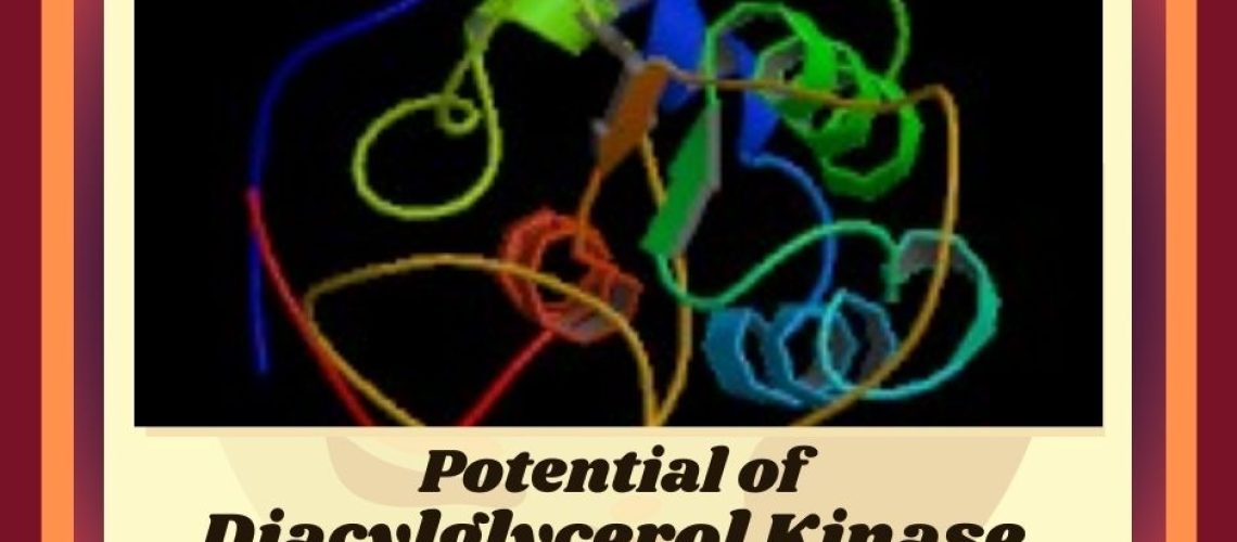 Potential of Diacylglycerol Kinase in Biomedical Research
